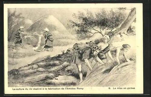 AK La culture du riz destiné à la fabrication de l`Amidon Remy, La mise en gerbes, Garbenbinden