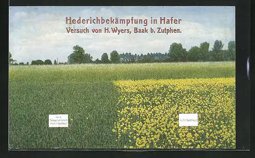 AK Baak b. Zutphen, Hederichbekämpfung in Hafer, Reklame