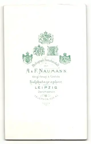 Fotografie A. & F. Naumann, Leipzig, Portrait süsses Kleinkind im weissen Kleidchen