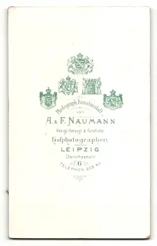 Fotografie A. & F. Naumann, Leipzig, Portrait süsses Kleinkind im weissen Kleidchen