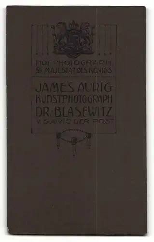 Fotografie James Aurig, Dr.-Blasewitz, Portrait zwei bürgerliche Damen in zeitgenössischer Kleidung