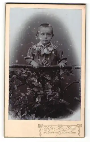 Fotografie Atelier Hugo Graf, Zwickau, Junge an Geländer stehend