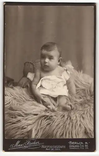 Fotografie Max Fischer, Berlin-N, Portrait niedliches Kleinkind im weissen Hemd auf Fell sitzend