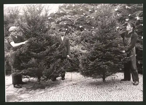 Fotografie Ansicht Berlin, Schwedter Strasse am Nordbahnhof, Weihnachtsbaumverkäufer 1938