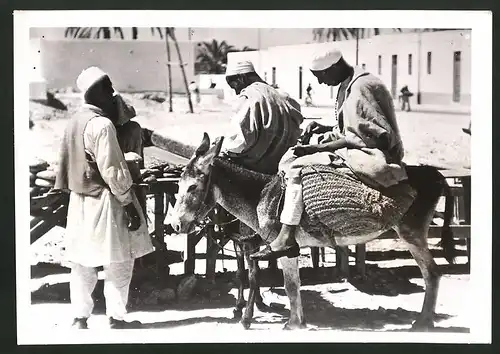 Fotografie Ansicht Libyen, Brotverkäufer an einer Durchgangsstrasse, Kunde auf Esel