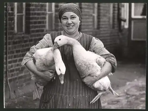 Fotografie Glückliche Bäuerin mit schlachtreifen Gänsen für einen Weihnachtsbraten 1938