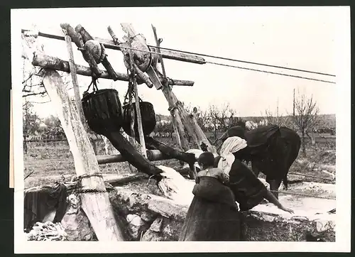 Fotografie Tunesien, Frauen bei der Feldbewässerung 1943