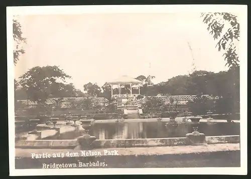 Fotografie Ansicht Bridgetown / Barbados, Partie im Nelson Park
