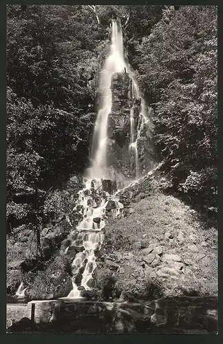 Fotografie Ansicht Trusetal im Thüringer Wald, Wasserfall