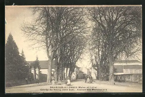 AK Brain-sur-Allonnes, Avenue des Marronniers