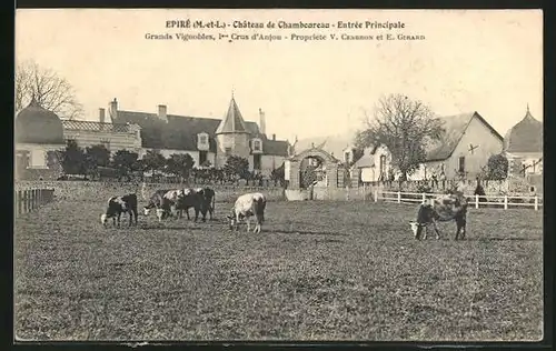 AK Epiré, Chateau de Chamboureau, Entree Principale