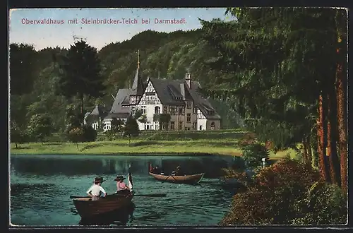 AK Darmstadt, Oberwaldhaus mit Steinbrücken-Teich