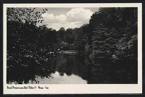 AK Bad Freienwalde /Oder, Partie am Baa-See