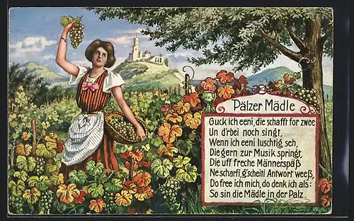 AK Pälzer Mädle pflückt ein Paar Weintrauben