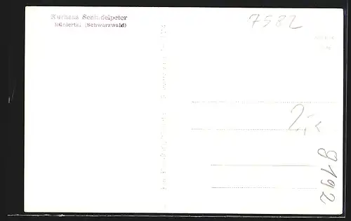 AK Bühlertal /Schwarzwald, Kurhaus Schindelpeter