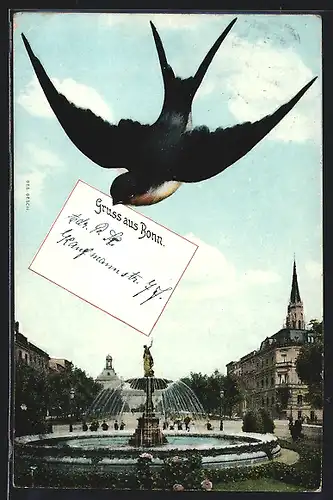 AK Bonn, Brunnen und Schwalbe mit Nachricht