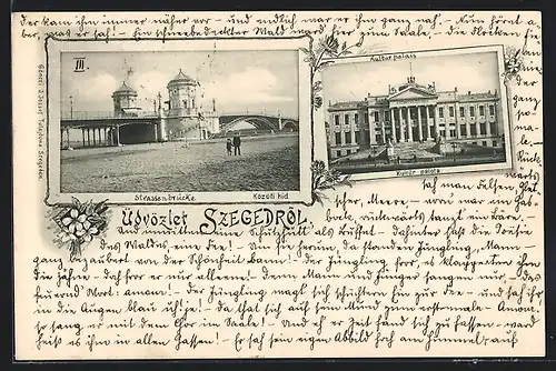 AK Szeged, Kultur palota, Közuti hid