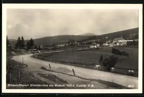 Fotografie unbekannter Fotograf, Ansicht Mönichkirchen am Wechsel, Strassenpartie am Ortsrand