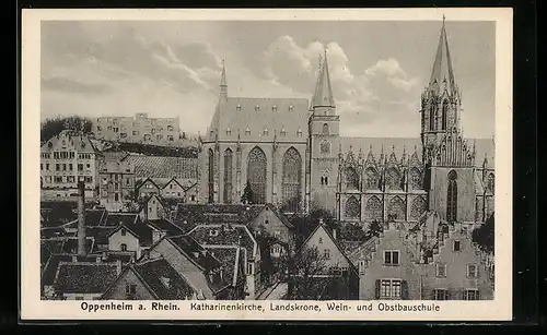AK Oppenheim a. Rhein, Katharinenkirche, Landskrone, Wein- und Obstbauschule