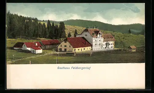 AK Feldberg / Schwarzwald, Gasthaus Feldbergerhof