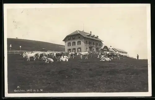 AK Schönau, Rasthaus und Pension Belchen, Bes. J. Stiefvater