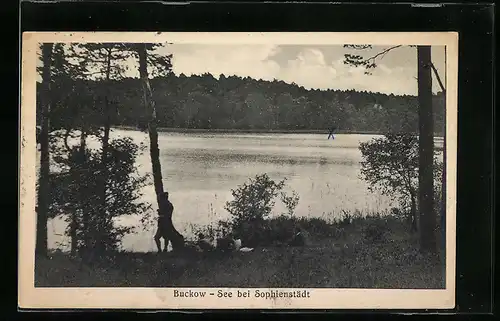 AK Sophienstädt, Partie am Buckow-See