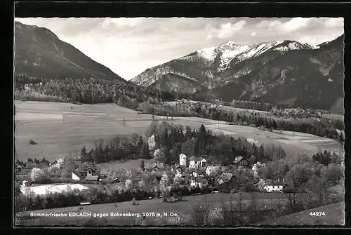 AK Edlach, Ortsansicht gegen Schneeberg