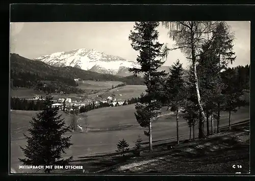 AK Mitterbach, Ortsansicht mit dem Ötscher