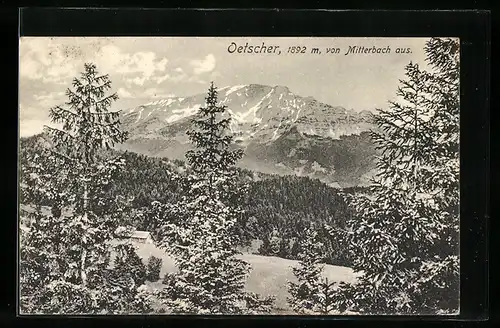 AK Mitterbach, Blick zum Oetscher
