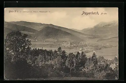 AK Payerbach, Totalansicht aus der Vogelschau
