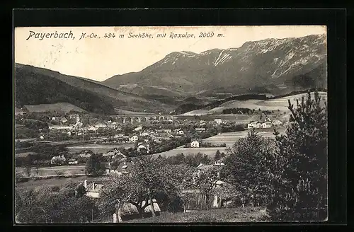 AK Payerbach, Totalansicht mit Raxalpe und Blick auf Viadukt