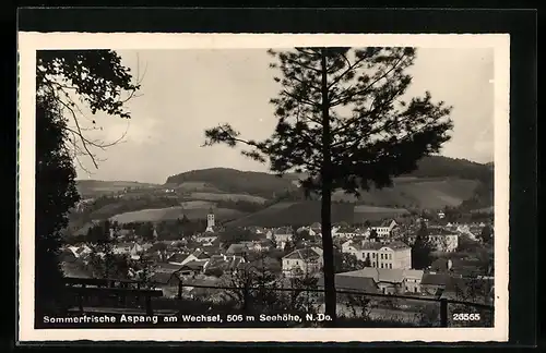 AK Aspang am Wechsel, Ortsansicht mit Kirche