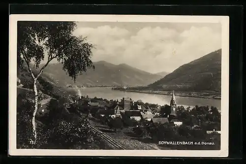 AK Schwallenbach a. d. Donau, Blick auf den Ort und die Donau
