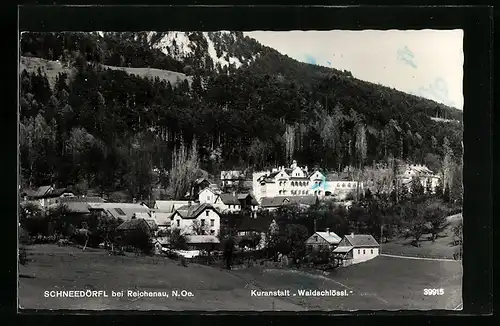 AK Schneedörfl bei Reichenau, Kuranstalt Waldschlössl