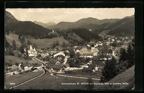 AK St. Aegyd am Neuwalde, Ortsansicht mit Bergpanorama