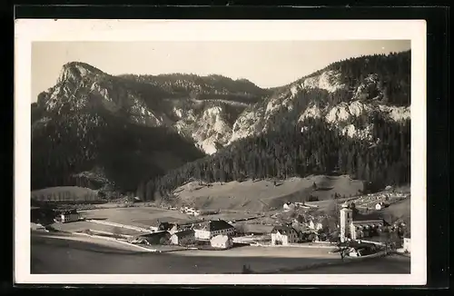 AK Schwarzau i. Geb., Ortsansicht mit Falkenstein