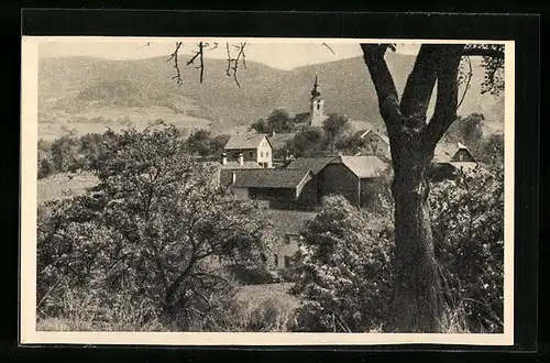 AK Altenmarkt bei Isper, Ortsansicht mit Kirchturm