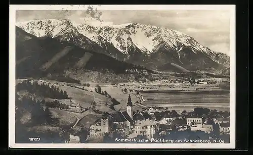 AK Puchberg am Schneeberg, Ortsansicht mit Gebirge dahinter