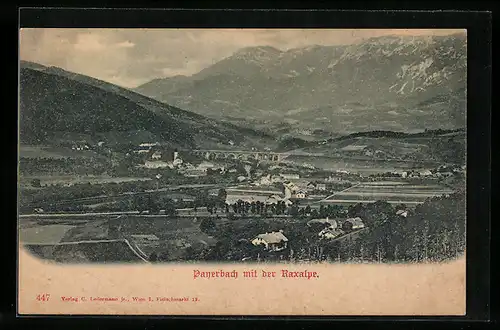 AK Payerbach, Totalansicht mit der Raxalpe