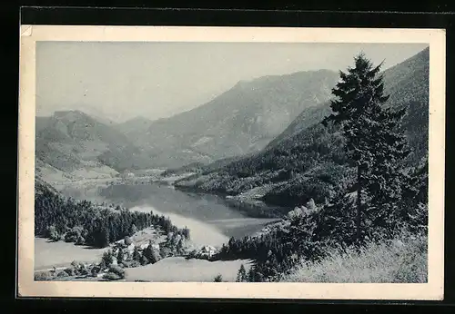 AK Lunz am See, Panorama mit Scheiblingstein und Ötscher