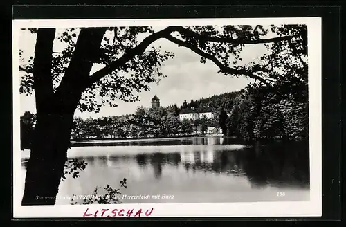 AK Litschau, Herrenteich mit Burg