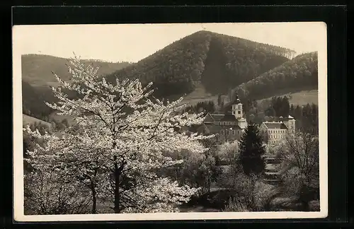 AK Lilienfeld, Blühende Bäume mit Blick zur Kirche