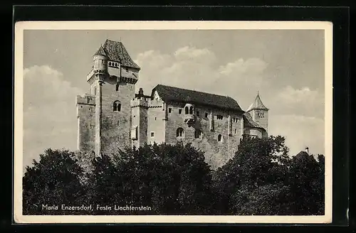 AK Maria Enzersdorf, Feste Liechtenstein