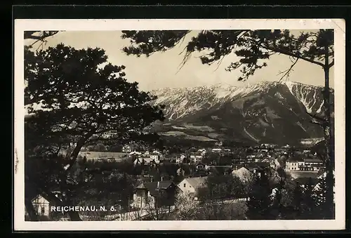 AK Reichenau, Ortsansicht mit Bergpanorama