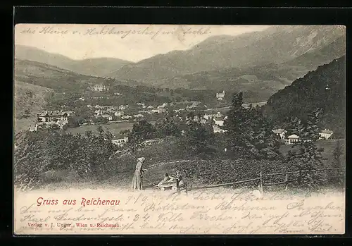 AK Reichenau, Panorama mit Ausblick