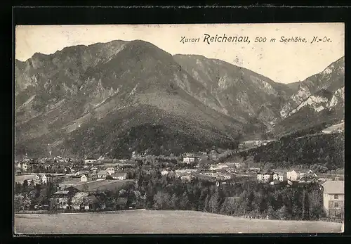 AK Reichenau, Ortsansicht mit Bergpanorama