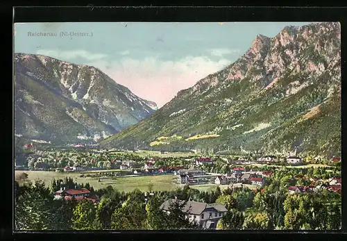 AK Reichenau, Ortsansicht, Bergpanorama