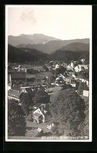 AK St. Aegyd a. Neuwald, Ortsansicht bei Tag