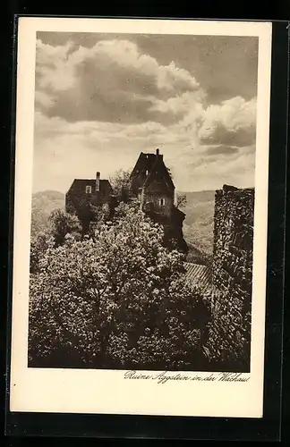 AK Aggstein i. d. Wachau, Blick auf Ruine