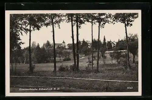 AK Echsenbach, Ortsansicht vom Wald aus